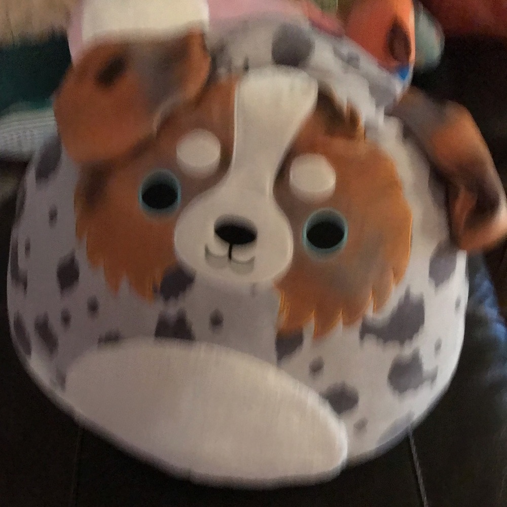Australian Shepherd squishmallow